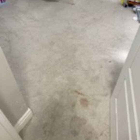 Carpet cleaning - Picture 3 of 3
